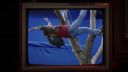 000_001_0341.jpeg