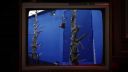 000_001_0342.jpeg