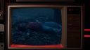 000_001_0367.jpeg