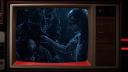 000_001_0486.jpeg