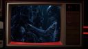 000_001_0487.jpeg