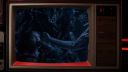 000_001_0491.jpeg